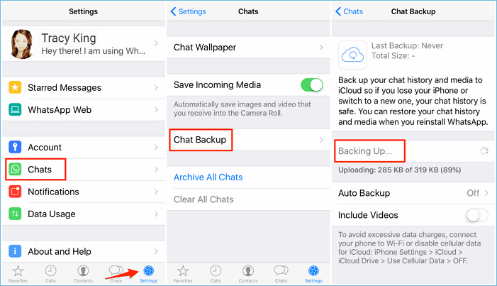Back up WhatsApp on iPhone.