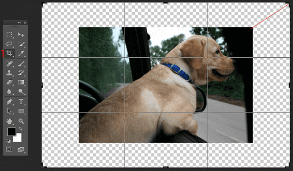 photoshop crop image