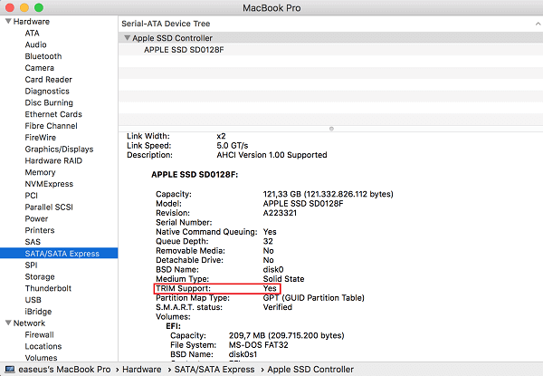 Mac System Information Screen