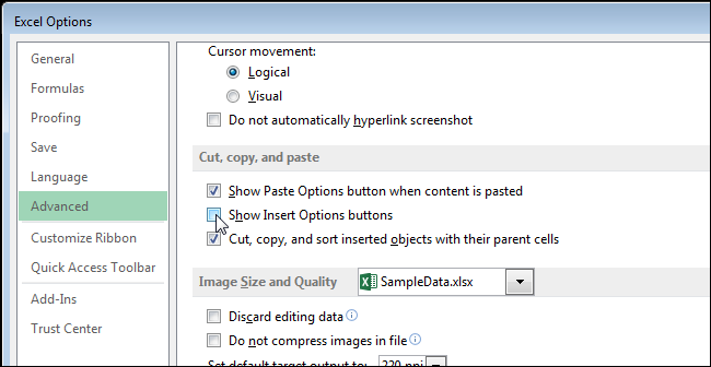 show insert options buttons in excel